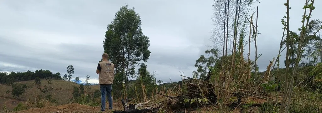 RJ tem mobilização recorde contra o desmatamento da Mata Atlântica